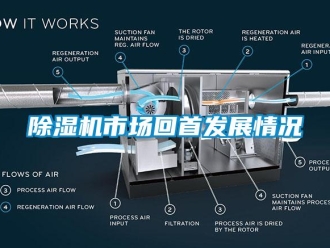 企業新聞除濕機市場回首發展情況