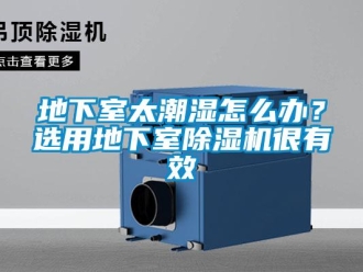 常見(jiàn)問(wèn)題地下室太潮濕怎么辦？選用地下室除濕機(jī)很有效