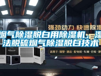 知識(shí)百科煙氣除濕脫白用除濕機(jī)，濕法脫硫煙氣除濕脫白技術(shù)