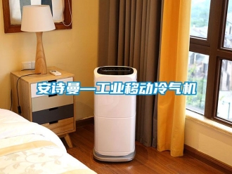 企業新聞安詩曼—工業移動冷氣機