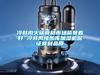 行業(yè)新聞冷鮮肉火鍋食材市場前景看好 冷鮮肉排酸庫加濕機(jī)保證食材品質(zhì)