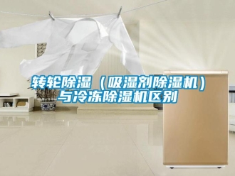 知識百科轉(zhuǎn)輪除濕（吸濕劑除濕機）與冷凍除濕機區(qū)別