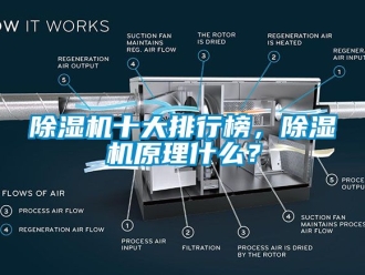 行業新聞除濕機十大排行榜，除濕機原理什么？