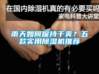 行業新聞雨天如何保持干爽？五款實用除濕機推薦