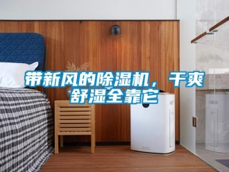 企業新聞帶新風的除濕機，干爽舒濕全靠它