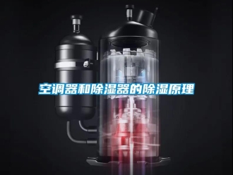 行業(yè)新聞空調(diào)器和除濕器的除濕原理