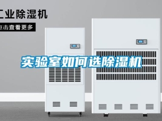 常見問題實驗室如何選除濕機
