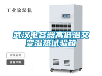 常見問題武漢電容器高低溫交變濕熱試驗(yàn)箱