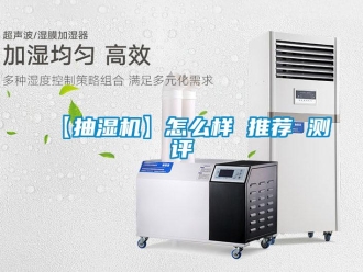 企業新聞【抽濕機】怎么樣 推薦 測評