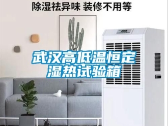 常見問題武漢高低溫恒定濕熱試驗(yàn)箱