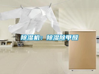 常見問題除濕機：除濕除甲醛