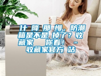 常見問題為什麼降濕那麼慢，防潮箱是不是壞掉了？收藏家實測給你看！ - 收藏家官方網站