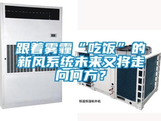 企業(yè)新聞跟著霧霾“吃飯”的新風(fēng)系統(tǒng)未來又將走向何方？