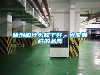 企業新聞除濕機什么牌子好，大家都選的品牌