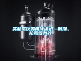 知識百科實(shí)驗(yàn)室儀器用除濕機(jī)—防潮、防霉很有效