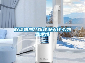 常見問題除濕機的品牌建設為什么如此艱難