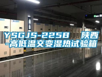 常見問題YSGJS-225B  陜西-高低溫交變濕熱試驗箱