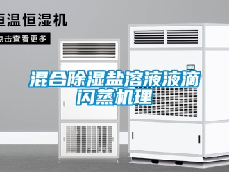 行業(yè)新聞混合除濕鹽溶液液滴閃蒸機理