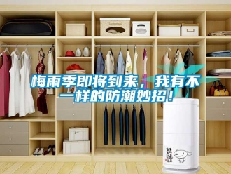 行業(yè)新聞梅雨季即將到來，我有不一樣的防潮妙招！
