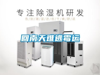 行業新聞回南天難逃霉運