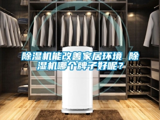 行業(yè)新聞除濕機能改善家居環(huán)境 除濕機哪個牌子好呢？
