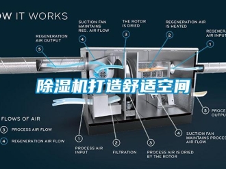 企業(yè)新聞除濕機(jī)打造舒適空間