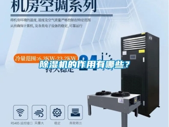 企業新聞除濕機的作用有哪些？