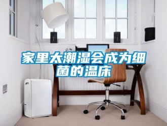行業(yè)新聞家里太潮濕會(huì)成為細(xì)菌的溫床