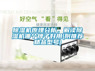 行業新聞除濕機原理分析，解讀除濕機哪個牌子好用(附推薦精品型號)