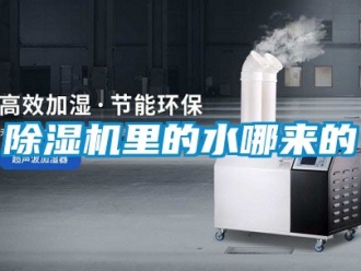 行業新聞除濕機里的水哪來的