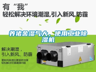知識(shí)百科養(yǎng)豬舍濕氣大，使用工業(yè)除濕機(jī)