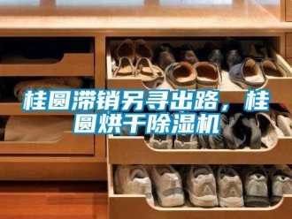 行業新聞桂圓滯銷另尋出路，桂圓烘干除濕機