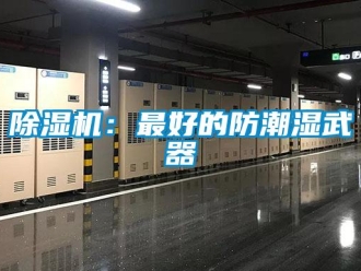 常見問題除濕機：最好的防潮濕武器