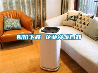 知識百科銅價下跌 企業冷暖自知