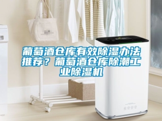 常見問題葡萄酒倉庫有效除濕辦法推薦？葡萄酒倉庫除潮工業除濕機