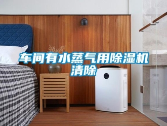 企業新聞車間有水蒸氣用除濕機清除