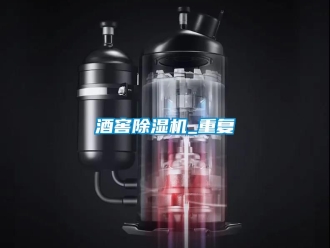 行業(yè)新聞酒窖除濕機(jī)_重復(fù)