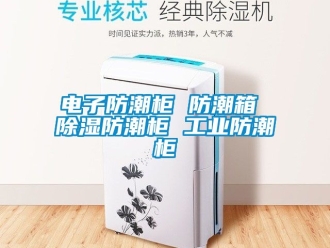 常見問題電子防潮柜 防潮箱 除濕防潮柜 工業(yè)防潮柜