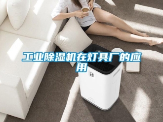 企業(yè)新聞工業(yè)除濕機(jī)在燈具廠的應(yīng)用