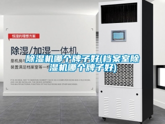 行業新聞除濕機哪個牌子好(檔案室除濕機哪個牌子好)