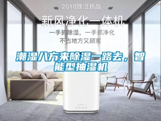 企業(yè)新聞潮濕八方來(lái)除濕一路去，智能型抽濕機(jī)