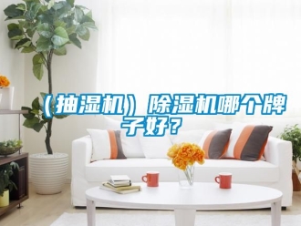 企業新聞（抽濕機）除濕機哪個牌子好？