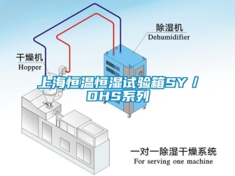 知識百科上海恒溫恒濕試驗箱SY／DHS系列