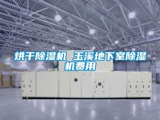 行業新聞烘干除濕機 玉溪地下室除濕機費用