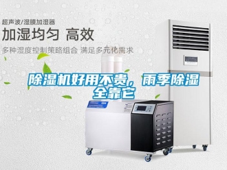 常見問題除濕機好用不貴，雨季除濕全靠它