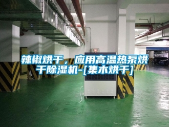 行業新聞辣椒烘干，應用高溫熱泵烘干除濕機-[集木烘干]