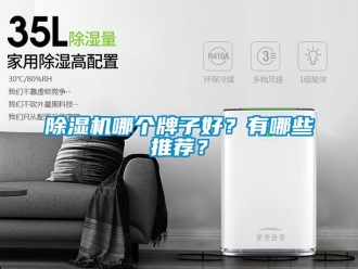行業(yè)新聞除濕機哪個牌子好？有哪些推薦？