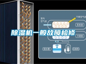 企業(yè)新聞除濕機一般故障檢修
