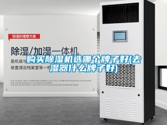 行業(yè)新聞購買除濕機選哪個牌子好(去濕器什么牌子好)