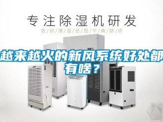 企業新聞越來越火的新風系統好處都有啥？